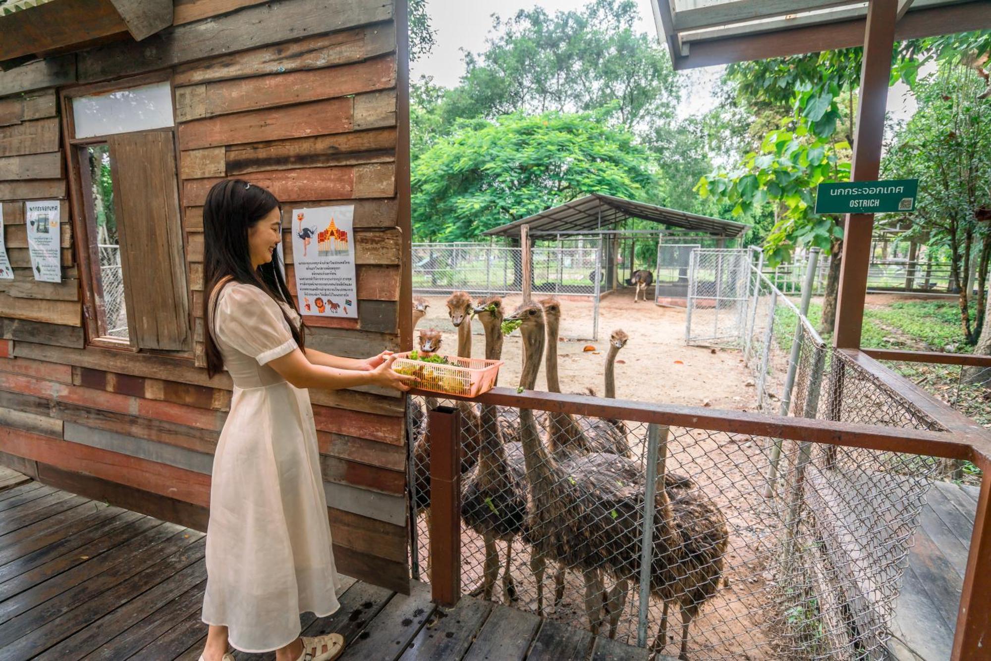 Horizon Village & Resort Doi Saket Eksteriør bilde